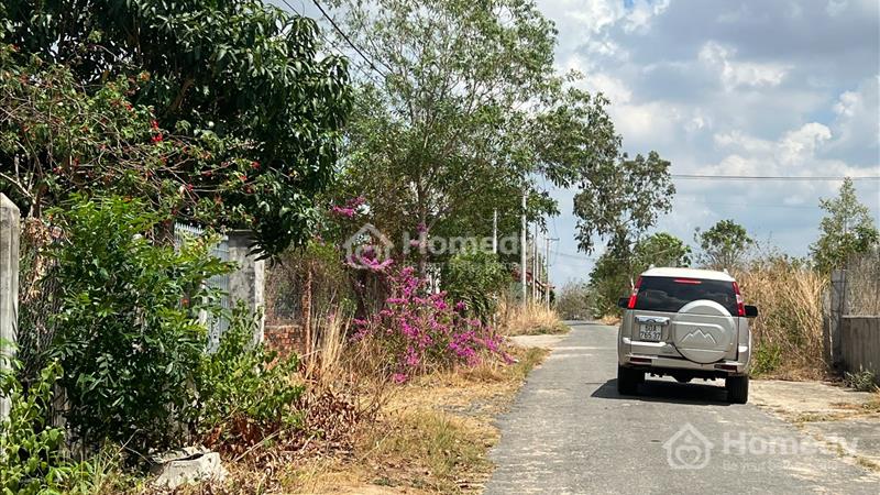 Hàng đẹp giá ngộp sâu , giá ĐT ở Hội Bài - Châu Pha mua đất lời căn nhà. - Ảnh 2