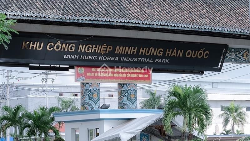 Bán lỗ đúng 195 triệu sổ riêng (5x40=200m2) có thổ cư, sát chợ QL13, Bình long, Bình Phước - Ảnh 3