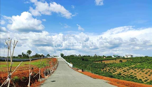 Cần tiền bán lô đất Lộc An - Bảo Lâm. Giá 550 triệu - Ảnh 1