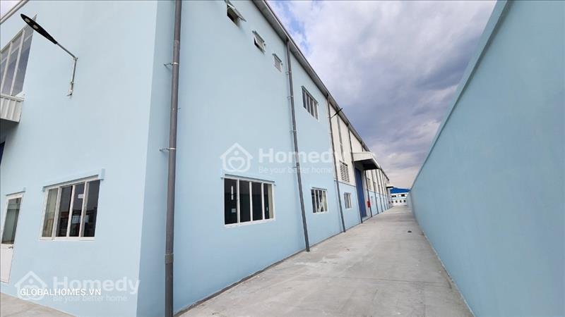 Cho thuê kho xưởng KCN Hải Sơn, KCN Tân Đô, KCN Tân Đức, KCN Xuyên Á, huyện Đức Hoà, tỉnh Long An - Ảnh 2
