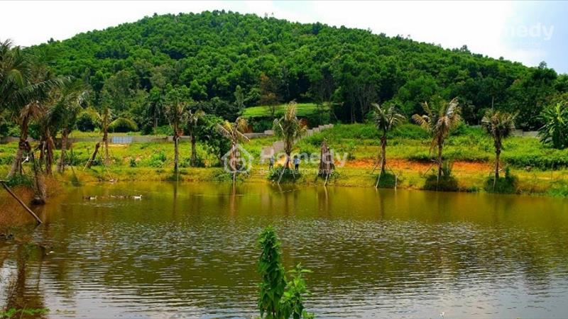 Cực Phẩm Đất Nghỉ Dưỡng, Kim Sơn, Sơn Tây Hà nội - Ảnh 2