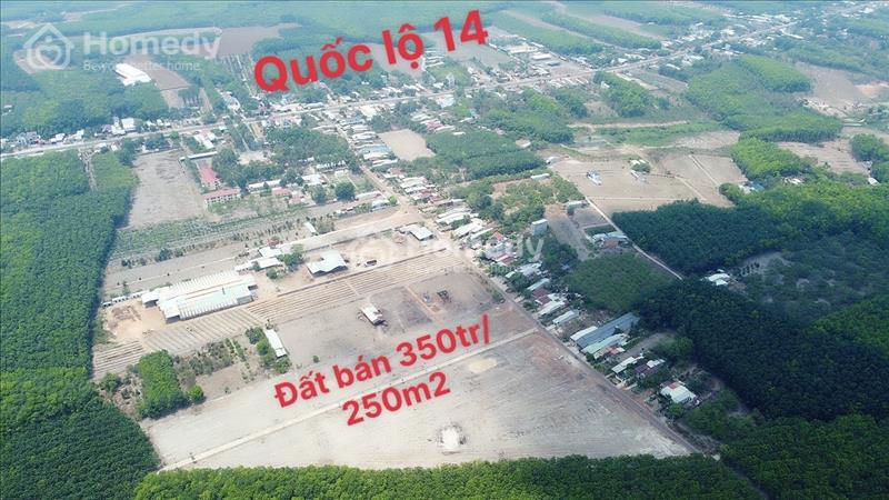 Bán gấp đất tại Tân Thành giáp QL14 200-300m2 có hỗ trợ ngân hàng (tổng giá 630tr) - Ảnh 3