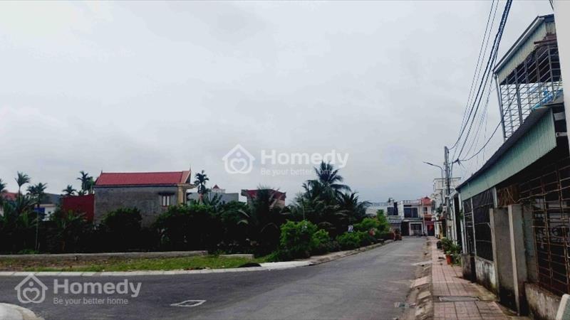 Bán đất hữu bằng kiến thụy - Ảnh 1