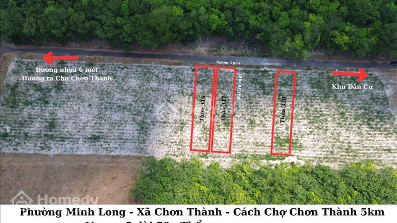 Đất đẹp pk4 mịn long chơn thành có 100m thổ cư - Ảnh 6