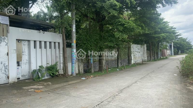bán nhà xưởng 300m2 thổ cư xã Xuân Thới Sơn gần ngã tư Hóc Môn, - Ảnh 4