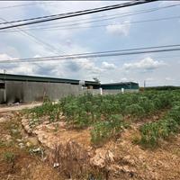 Chính Chủ Bán Nhanh 245m2 Đất Ngay TP Tây Ninh Giá Rẻ 2xx triệu
