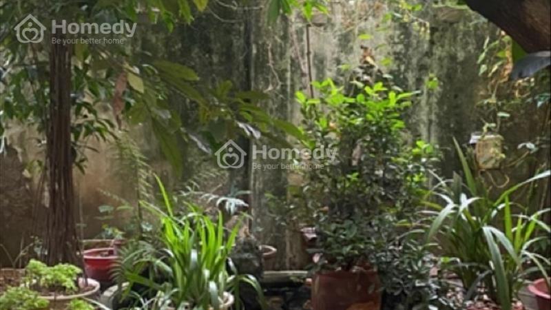 Hiếm !!! Bán nhà sân vườn cực chill khu vực Minh Khai , Hai Bà Trưng - Ảnh 3