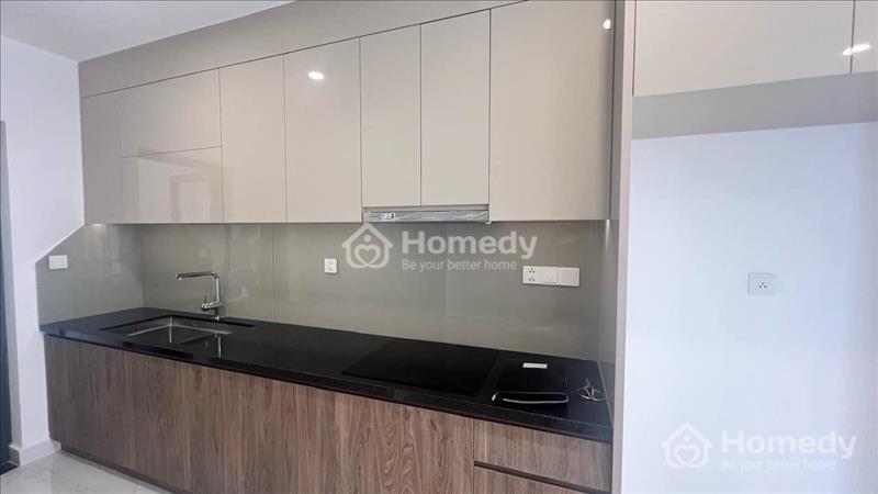 Căn Hộ  2 VIEW Siêu Đẹp Khu Diamond Brilliant - Đô Thị Xanh Celadon City - Từ Chủ Đầu Tư - Ảnh 9