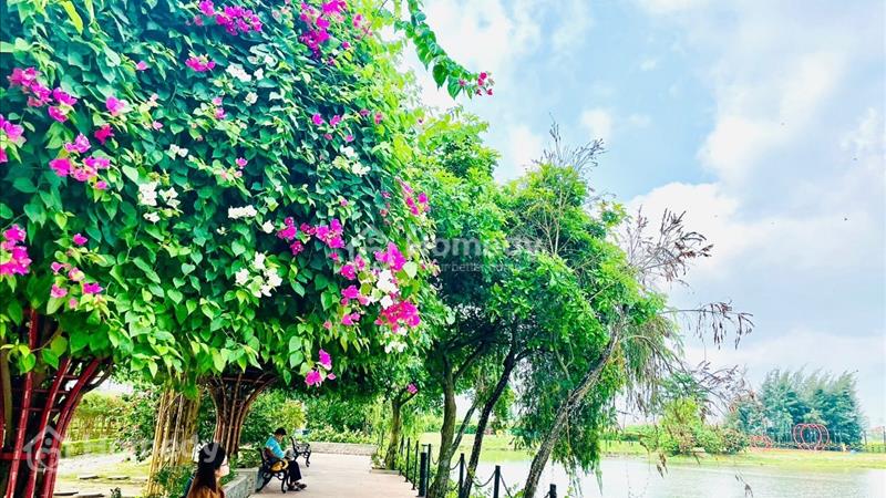 Bán Nhà phố BelHomes - Ngay chân cầu Nguyễn Trãi chuẩn bị khởi công - Ảnh 8