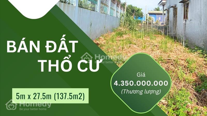 🏡 Bán đất thổ cư Mặt tiền Trần Thị Non liền kề Cao tốc, Làng Đại học 🏡 - Ảnh 1