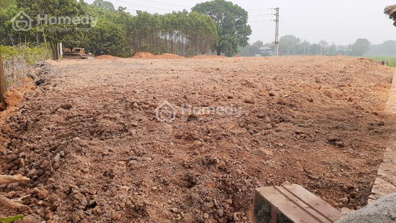 Cần chuyển nhượng Gấp lô đất kèm pháp nhân CTY đất dọc TL314 huyệnThanh Ba - Ảnh 1