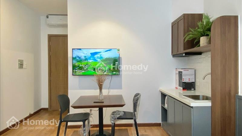 Cho thuê CĂN HỘ Cửa Sổ Lớn gần Sân Bay Tân Sơn Nhất Q.Tân Bình - Ảnh 3