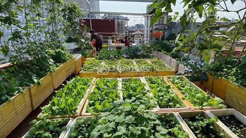 Bán đất Huyện Hớn Quản - Bình Phước giá chỉ 290Triệu - Ảnh 3