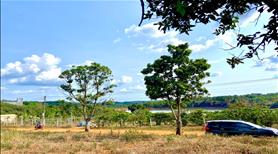 Bán lô đất view hồ thôn 10 Đắk Sin giá rẻ 545 triệu/2 sổ/1076,6m2 mặt tiền đường giao thông 65 mét - Ảnh 2