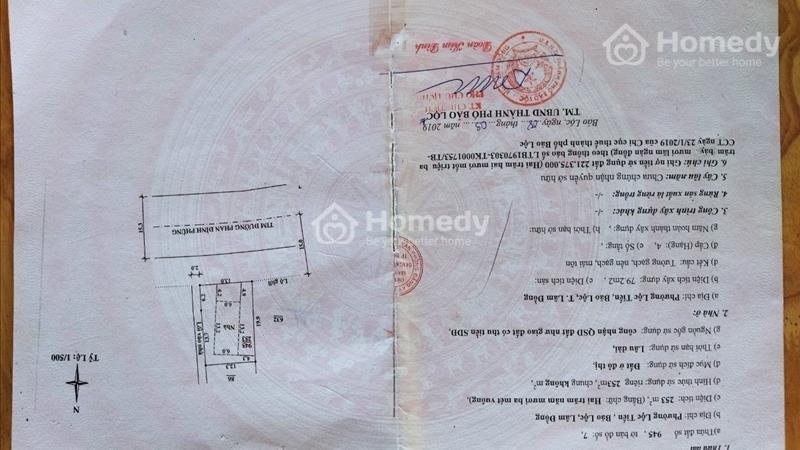 Gia đình Bán nhanh lô đất đi nước ngoài định cư  - Ảnh 2