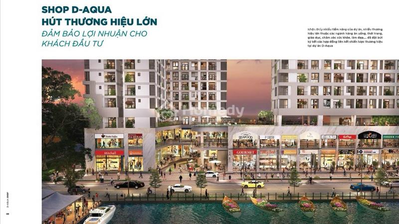 Căn hộ Sân Vườn Bến Bình Đông - Ảnh 6