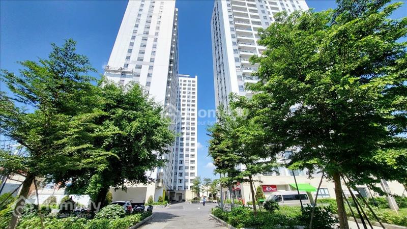 Thuê nhà giá siêu rẻ tại Iris Tower chỉ có 3.8tr căn 2PN, Tại Kcn VSIP1 Parkview Bình Dương - Ảnh 6