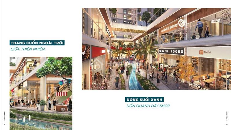 Căn hộ Sân Vườn Bến Bình Đông - Ảnh 4