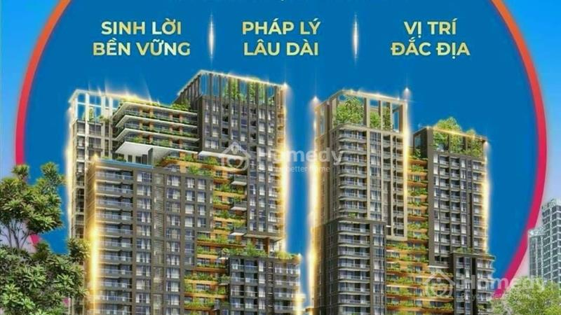 Đầu Tư Bất Động Sản Sungroup tại Sầm Sơn, Hà Nam, Đà Nẵng: Cơ Hội Đầu Tư Không Thể Bỏ Lỡ! - Ảnh 4
