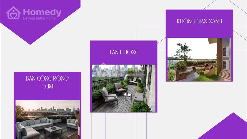 Duy nhất căn 1BR+ Sun Ponte Residence ven sông Hàn Đà Nẵng giá gốc từ CĐT, chỉ 828tr ở hữu ngay - Ảnh 7
