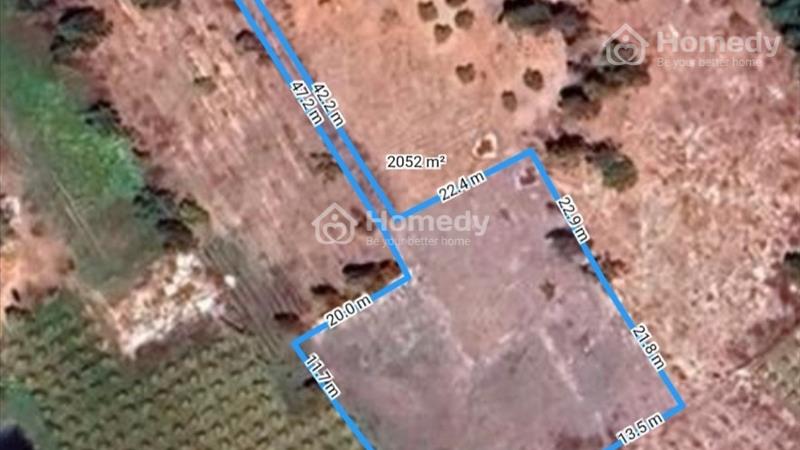 bán gấp 2051m2 có sẵn 100m thổ cư, xã Tân Bình, Thị Xã LaGi, Bình Thuận. Gần Biển, Giá RẺ 1,4 tỷ - Ảnh 2