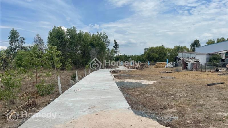 bán gấp 2051m2 có sẵn 100m thổ cư, xã Tân Bình, Thị Xã LaGi, Bình Thuận. Gần Biển, Giá RẺ 1,4 tỷ - Ảnh 4