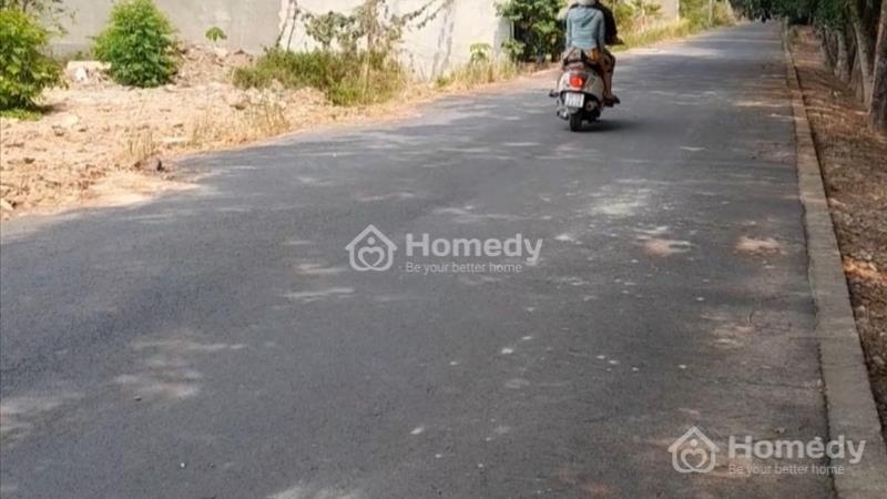 đất Chánh Phú Hoà Thành Phố Bến Cát ,Bình Dương, diện tiachs 215m mặt tiền đường nhựa  - Ảnh 2