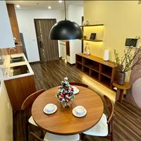 Cho thuê căn full đồ nội thất phong cách Nhật giá 10 triệu Hoàng Huy Commerce diện tích rộng