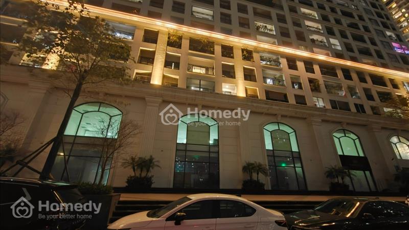 Chính chủ cho thuê căn shophouse G2 - 09 dự án Sunshine Garden - Ảnh 2