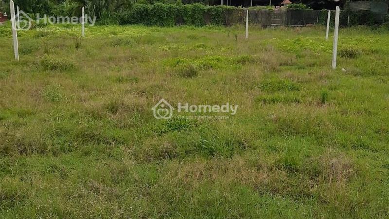 Bán đất thổ cư tại Đức Hòa Thượng, Đức Hòa, Long An - Ảnh 2