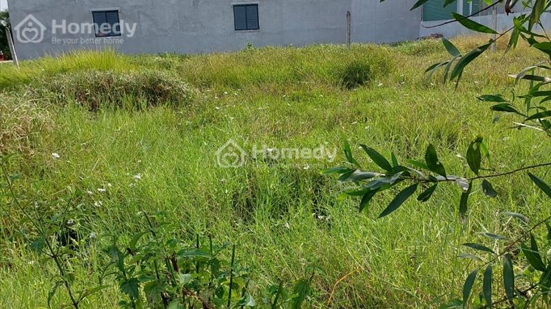 Bán đất thổ cư tại Đức Hòa Thượng, Đức Hòa, Long An - Ảnh 4