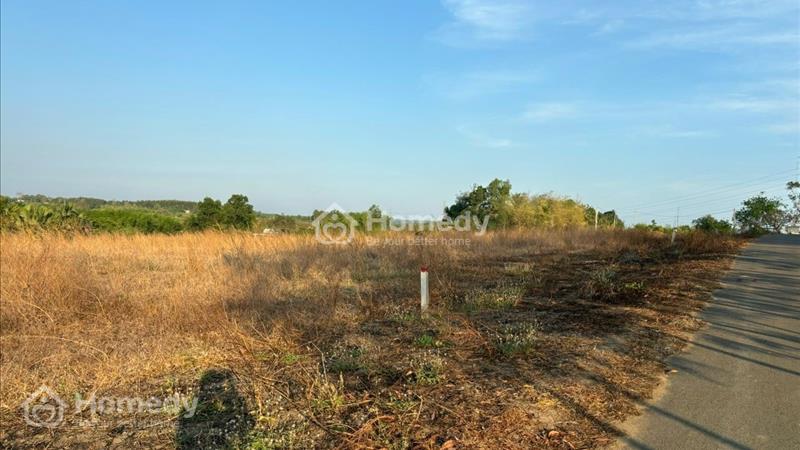bán lô đất một sào gần hồ Suối Rao mát mẻ view Đà Lạt mini - Ảnh 2