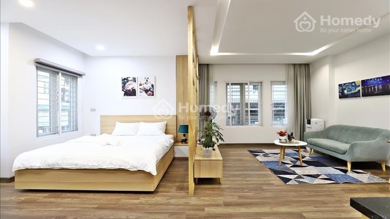 Cho thuê CHDV 1N số 81 Linh Lang diện tích 65m2 giá từ 650$/tháng gần TTTM Lotte, Metropolis. - Ảnh 1