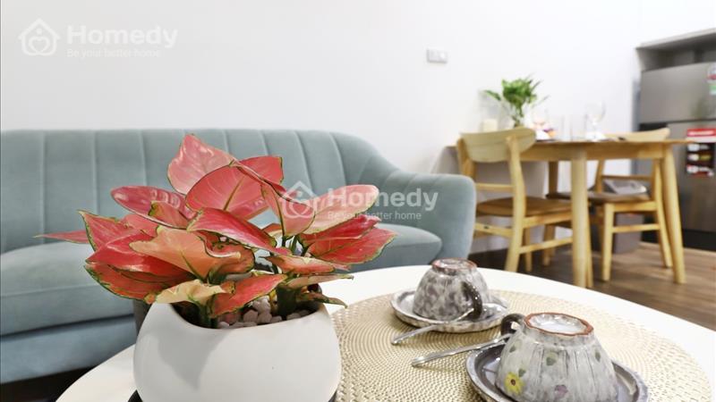 Cho thuê CHDV 1N số 81 Linh Lang diện tích 65m2 giá từ 650$/tháng gần TTTM Lotte, Metropolis. - Ảnh 6