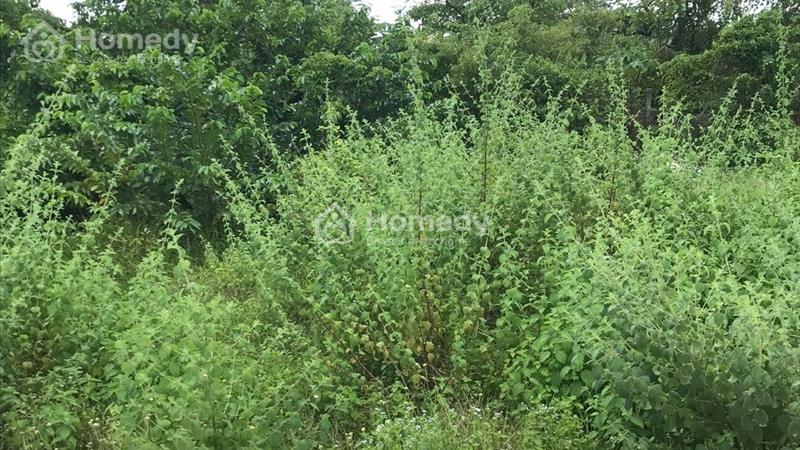 Chính chủ bán đất nền 92m2 thổ cư 100% tại dự án Vĩnh Long New Town, P5, Tp. Vĩnh Long - Ảnh 3