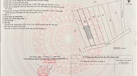 793 TRIEU Đất Đông Thanh sổ riêng sẵn 127m2 Thổ Cư, Cách chợ Đà Lạt 31km, 0919830239 - Ảnh 3