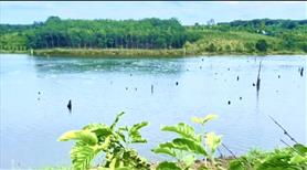 Đất view Hồ cực đẹp giá Sốc 565 TRIỆU /1119m2(sẵn 120m2 Thổ Cư) cách chợ Đắk sin 2KM 0919830239 - Ảnh 12