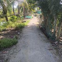 Đất ruộng , nền thổ cư