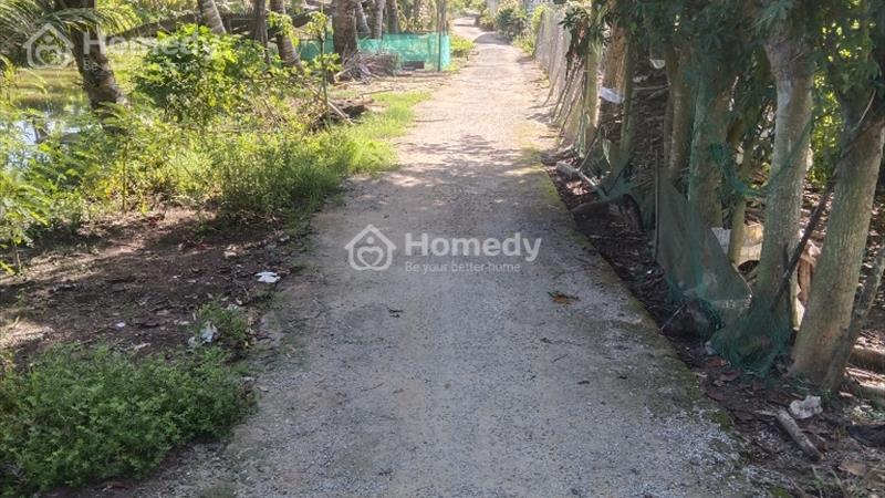 Đất ruộng , nền thổ cư - Ảnh 1
