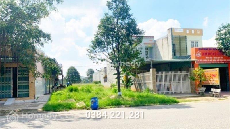Gia Đình Cần Sang Gấp 539m2 Đường Nhựa .Gíap Ranh Bình Chiểu Thủ Đức, 2ty650. - Ảnh 4