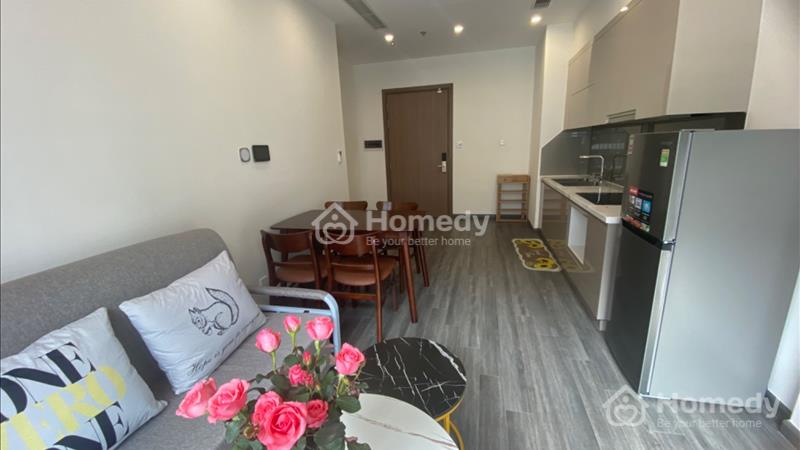 Chính chủ cho thuê căn 1N full đồ nội thất đã lắp mạng toàn ZENPARK - Ảnh 11