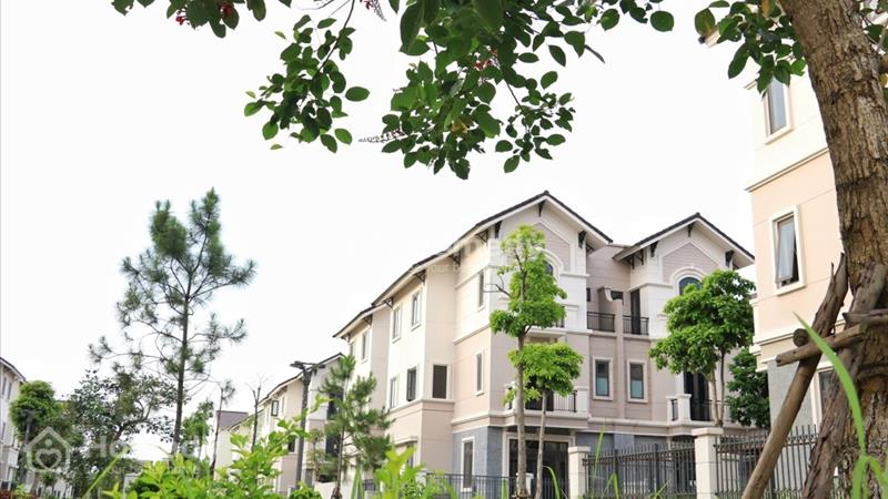 🔴 [Lãi Ngay 500 triệu] BTSL 135m2 Singapore #CentaCity - Ảnh 2