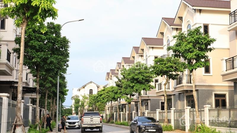 🔴 [Lãi Ngay 500 triệu] BTSL 135m2 Singapore #CentaCity - Ảnh 3
