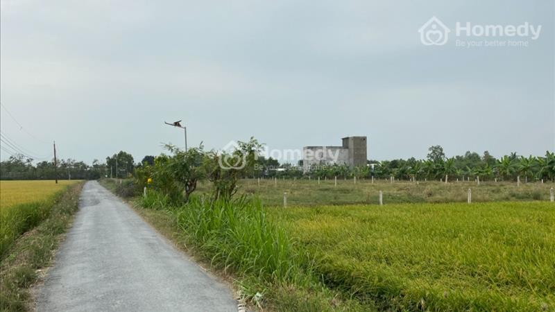 Bán đất Nghĩa Chí, Phước Trung, Gò Công Đông, Tiền Giang Liên hệ Cường 0328472872 - Ảnh 3