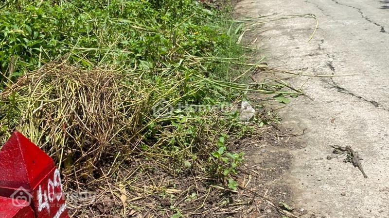 Bán đất ONT thuộc xã Xóm Dinh, Tân Đông, Gò Công Đông Liên hệ Cường 0328472872 - Ảnh 7