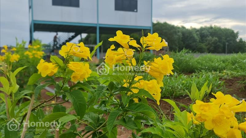 Cần bán 1,2ha đất Long Tân ngay hồ Suối Môn, Đất Đỏ, Bà Rịa Vũng Tàu - Ảnh 2