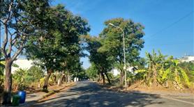 Bán đất tại KDC Hưng Phú 2 vị trí đẹp, giá cực hấp dẫn cam kết tốt nhất thị trường sổ đỏ cầm tay - Ảnh 3