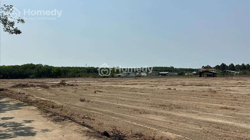 Đất Ngộp sổ sẵn ngay trung tâm TP.đồng xoài Giá 550 Triệu - Ảnh 2