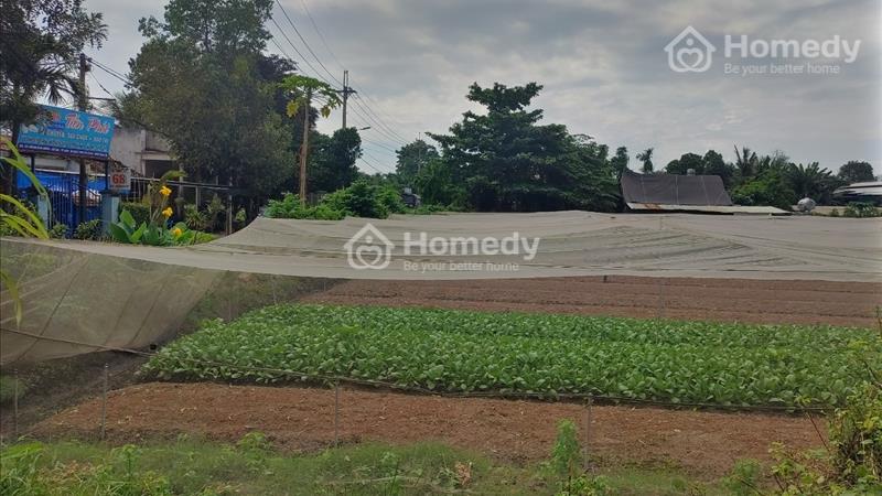 Cần bán đất mặt tiền đường nguyễn thị hé quốc lộ 22 tuận tiện giao thông   - Ảnh 3