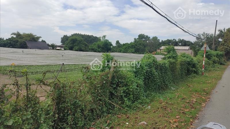 Cần bán đất mặt tiền đường nguyễn thị hé quốc lộ 22 tuận tiện giao thông   - Ảnh 7